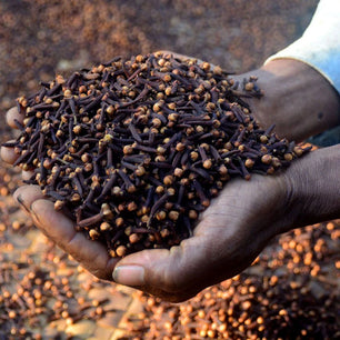 Clove and Rosemary Oil for Maximum Hair Growth and Thicker Hair Within 2 Weeks